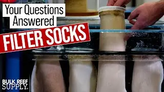 Change Aquarium Filter Socks WHEN? Top 5 Answers to BRS Filter Sock Questions!
