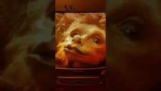 A Gnome named Gnorm