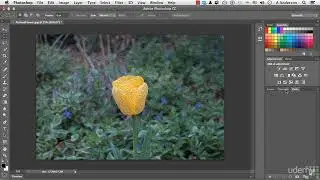 Mastering Adobe Photoshop CC : 0202 The Photoshop Interface
