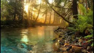 Peaceful Forest River 🌿 Sunlit Water Sounds for Deep Relaxation & Stress Relief