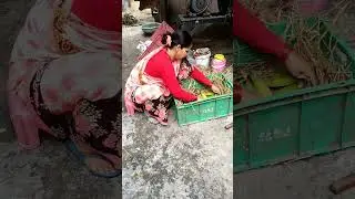 देखिए कैसे पकाये जाते हैं केले //#shorts #viral