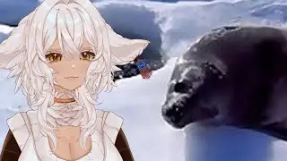 Реакция VTuber на видео &laquo;Плакса учится плавать&raquo; Джесси ДеВо