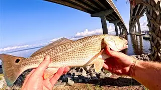 How To Fish SALTWATER BRIDGES & STRUCTURE From Land! Easy & Effective!