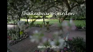 Shakespeare Garden - Golden Gate Park
