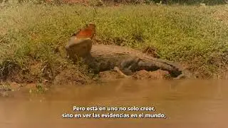 El Diario de Neeuq Naeco