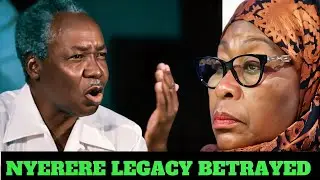 Samia Suluhu has Betrayed Julius Nyerere-The fall of Tanzania's Pan-African legacy 