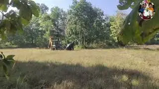 Elephant Rescue 