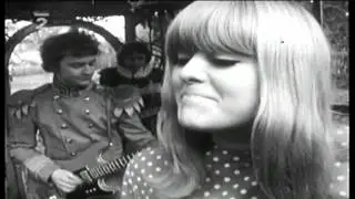 Hana Ulrychov&aacute; - Slunečnice