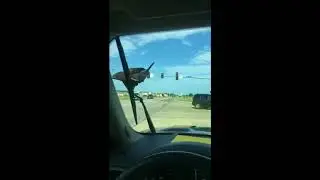 Stubborn Crow Refuses to Let Go of Windshield Wipers in Iowa