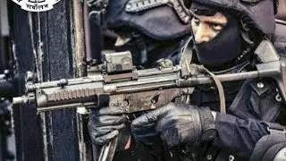 nsg commando status ; black cat commando status