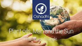 Plant oils, Man and the Sun | Essential-Oil-Plant Portrait by Dr. Malte Hozzel