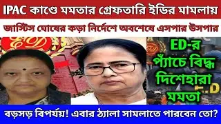 IPAC মামলায় হাইকোর্টে বড় ধাক্কা জাস্টিস ঘোষের কড়া নির্দেশে বড়সড় আইনি বিপর্যয় জোড় বিপাকে মমতা