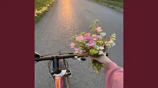 Bloom in Your Own Time