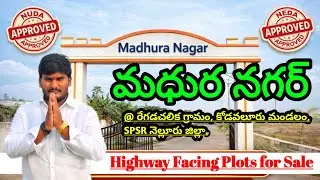 Nellore Madhura NAGAR NUDA APPROVAL #nellore RAJU PALEM  National Highway open plots PH:-891348513