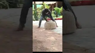 Prank Dog Compilations | Giant Plastic Box Prank on Sleep Dog | Just for Funs