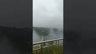 Jog falls live video #shorts