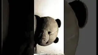 The Bear