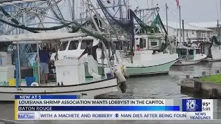 Louisiana Shrimp Association wants lobbyist in the Capitol