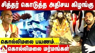 சித்தர் கொடுத்த அதிசய கிழங்கு | KOLLI MALAI SECRETS | AADHAN TAMIL