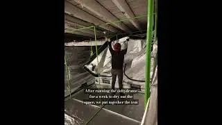 Setting Up Our Mushroom Grow Tent