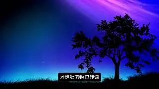 未敢触碰的时空