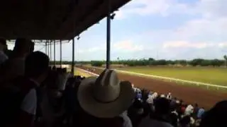Maiden Futurity Final  Country Flying Chick Las Palmas Down Race Park (1).mp4