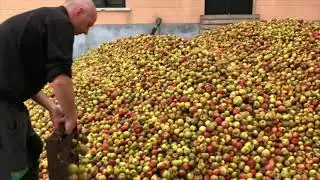 Gurutzeta - 2020ko sagardoa egiten // Elaborando la sidra de 2020