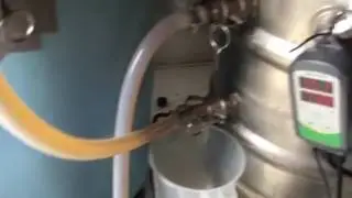 Imperial IPA Brew day