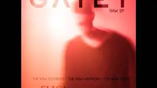 GATE1 | 'The Raw Elements'