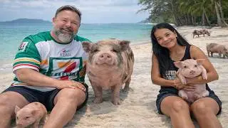 #16 - PIG ISLAND : l'île aux cochons