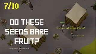 Rating OSRS Money Making Methods after 1 Hour: Pickpocket Master Farmers (7/10)