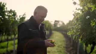 Urbanihof Herstellung Traubensaft