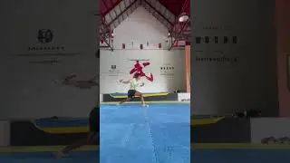 Gunshu 棍术.