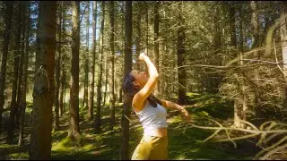 Alicee - Fly (music video)