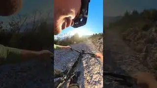 KOZJAK, U POTRAZI ZA STUBICON