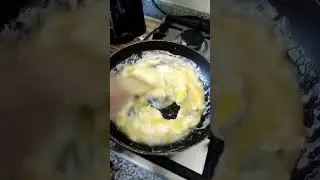 Atlantic Ocean Food - Omelette - To Street Food #greenscreen