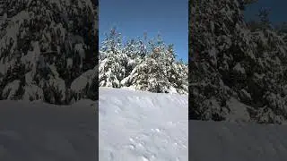 Всем доброго и благословенного дня.