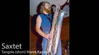 Saxtet - Tangola Short