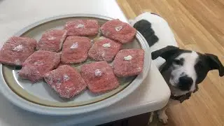 DIY Youtube Play Button Cookies for Dogs! 1 YEAR YOUTUBE ANNIVERSARY!!!