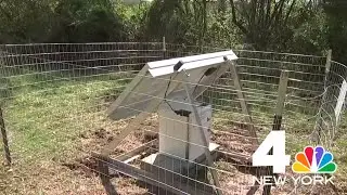 Scientists install seismometers in NJ to learn about earthquakes and aftershocks | NBC New York