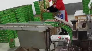 Match cracker fireworks packaging by machine