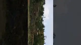 pakistan swat deolai