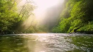 Relaxing - The mountain river water flows gently, morning mist enveloping the lush green forest.