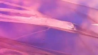MOONBOAT - Breeze (Official Video)