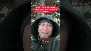 Мигранты спасут Германию от кризиса. ￼