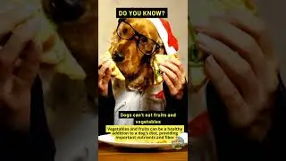Dog myths and legends | false myths about dogs
