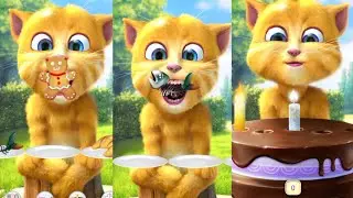 Talking Ginger 🐱 | Funny Voice Reactions 🎧🤣