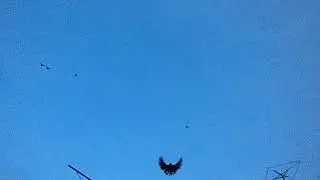 CIMG3532 04 03 Володя Ерофей.