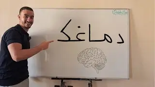 خدم دماغك ... راه هو القطعة الناقصة فحياتك