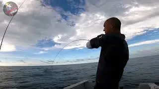 Daiwa Catalina BJ clicker upgrade